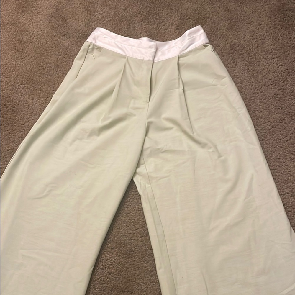 Elegant light green  Women's Pants